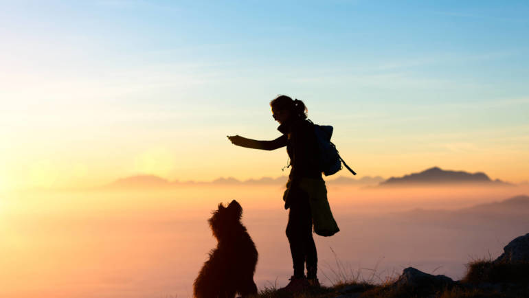 Váci Mihály: Valami nincs sehol