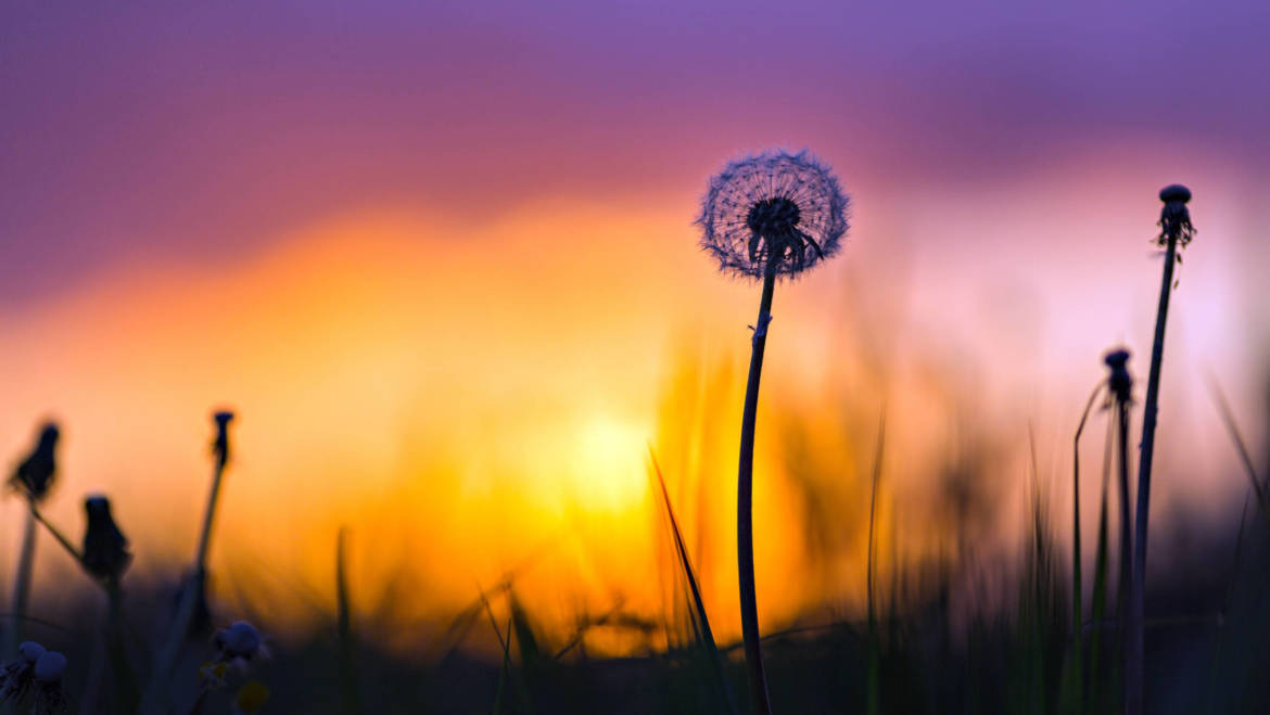 Héty Péter: Quo vadis – Merre tartasz?